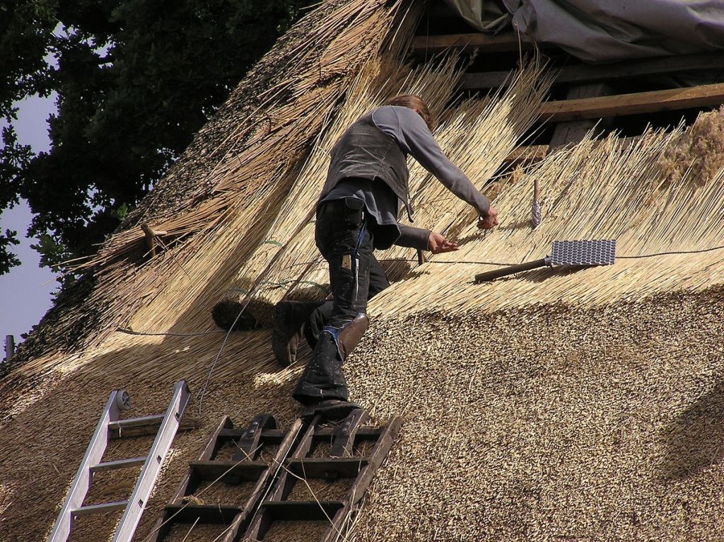 Roof Maintenance