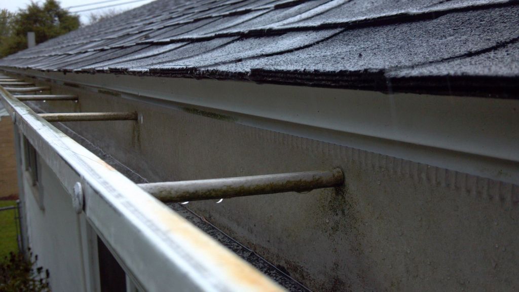 Roof Coating Services
