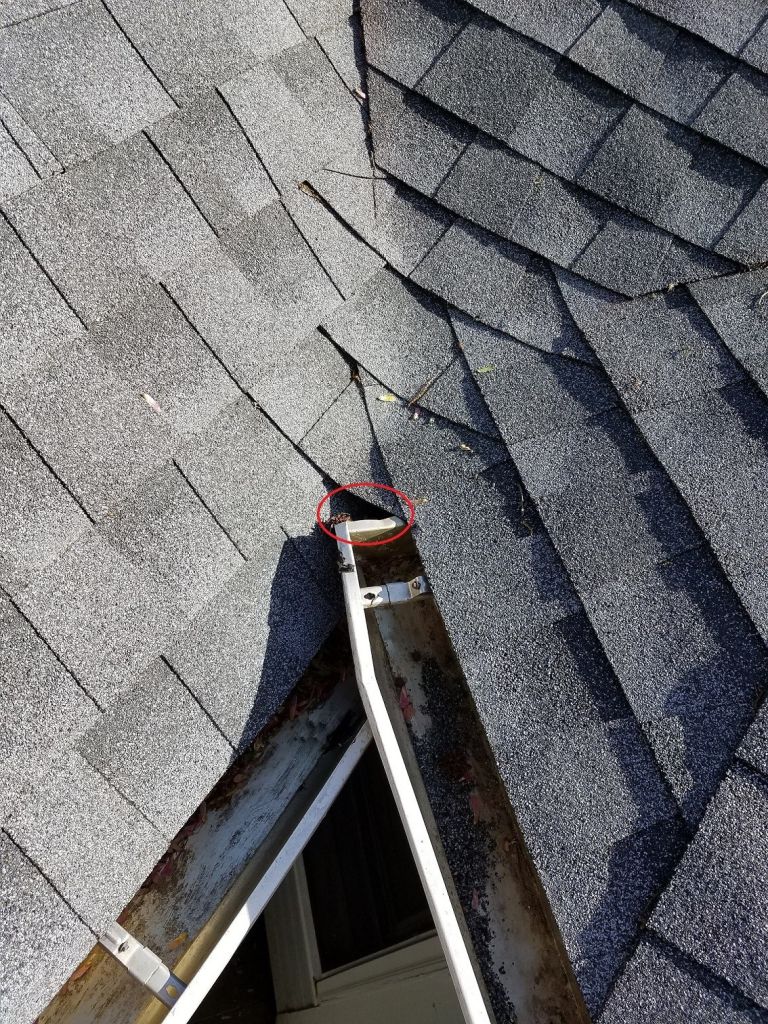 TPO Roofing